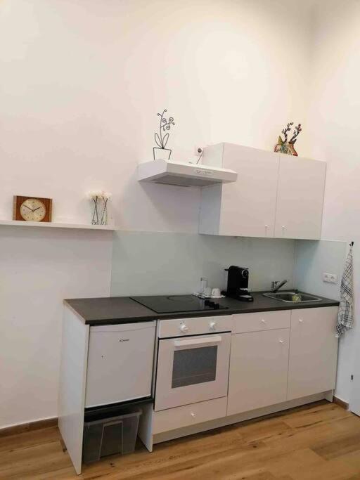 Feine Wohnung Direkt Am Yppen- Und Brunnenmarkt Wina Bagian luar foto
